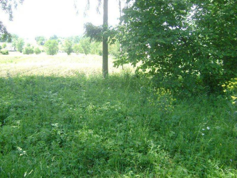 Продам земельный участок под застройку в селе Стара Жадова Сторожинецк
