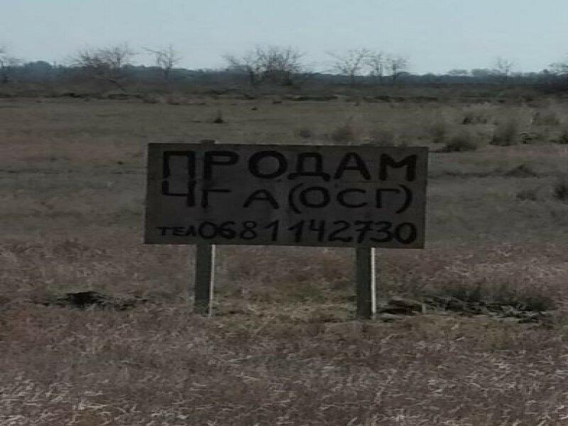 Продам 4га земли ОСГ возле Скадовск