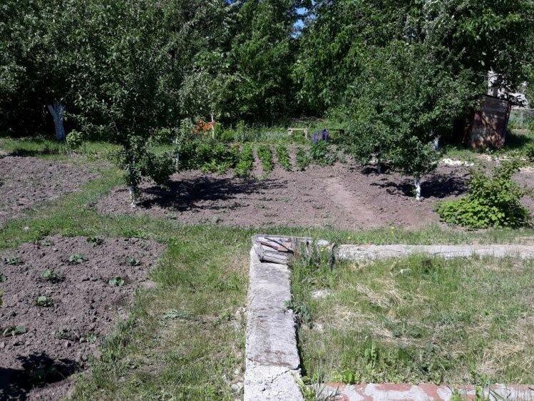 Продам участок с садом недалеко от Старого Салтова