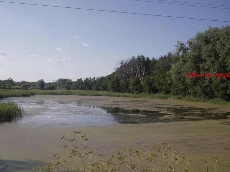Земля 24 км от Киева. Рядом лес, пруд. Земельный участок под застройку