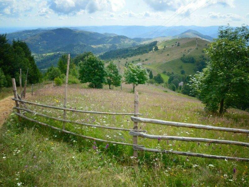 Продам землю в Карпатских горах 362 сотки