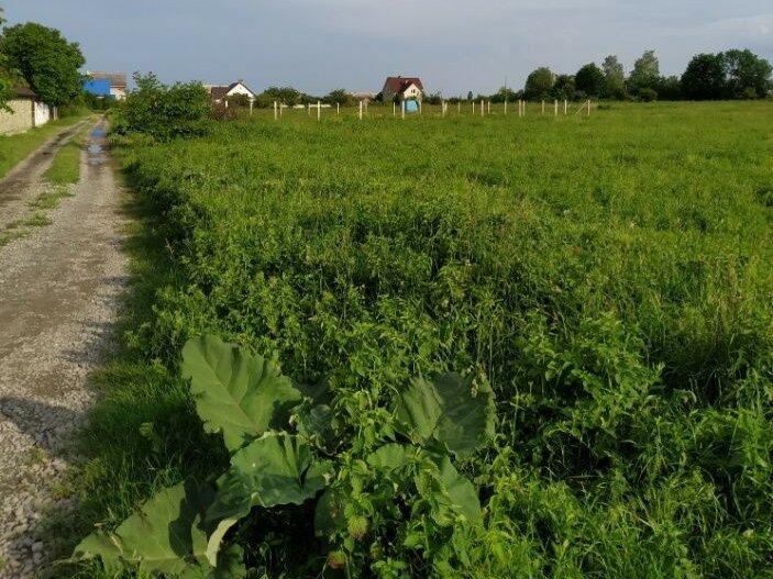 Продам Земельну Ділянку під Індивідуальне будівництво(Село ЖОВТНЕВЕ)