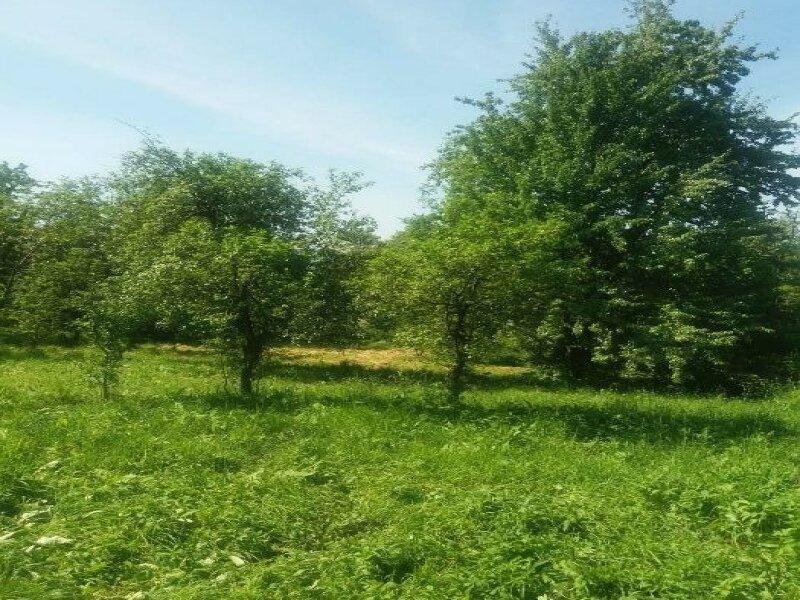 Продається земельна ділянка 57 сотих в селі Модричі