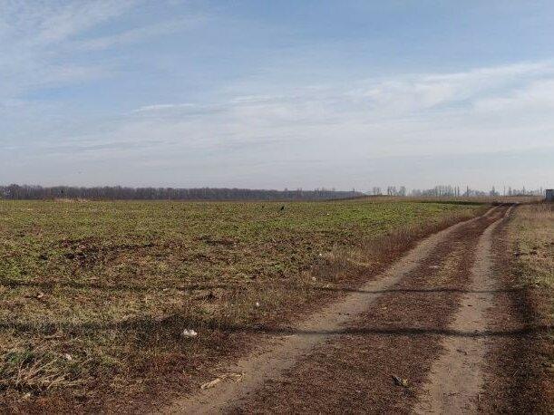 Земельные участки село Чубинское 15 км от Киева