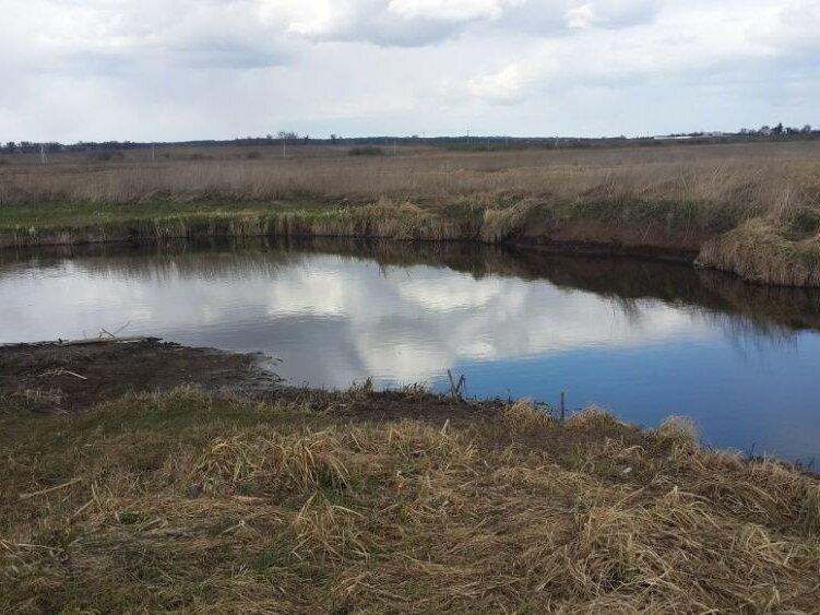 Продам земельный участок на берегу реки в селе Перевоз 35 км от Киева