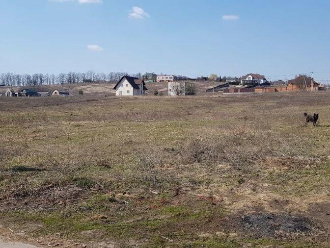 Продам земельну ділянку в селі Великі Дмитровичі