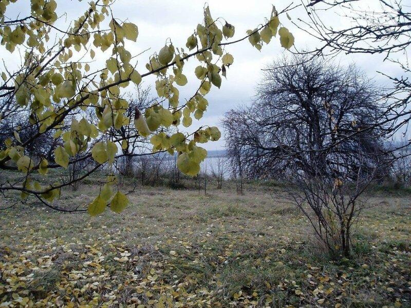Продажа земельного участка под жилую застройку в Вышгороде