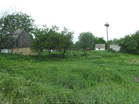 Продажа земельного участка под жилую застройку в селе Саливонки