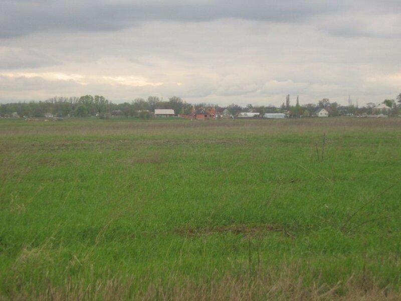 Продаються земельні ділянки в селі Глибоке Бориспільського району