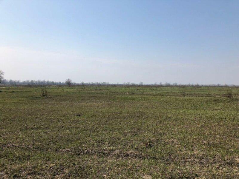 Видовой участок 17,5 гектаров. ОСГ, с. Козаровичи, Киевская область