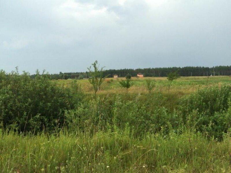Продам земельний участок в Бориспольском районе с. Иванков