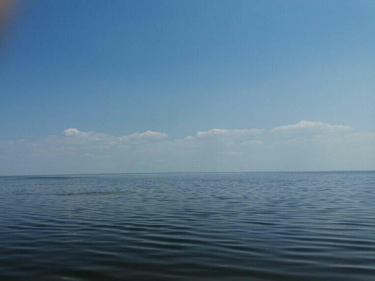Супер место! Первая линия, выход на пляж Киевского моря.