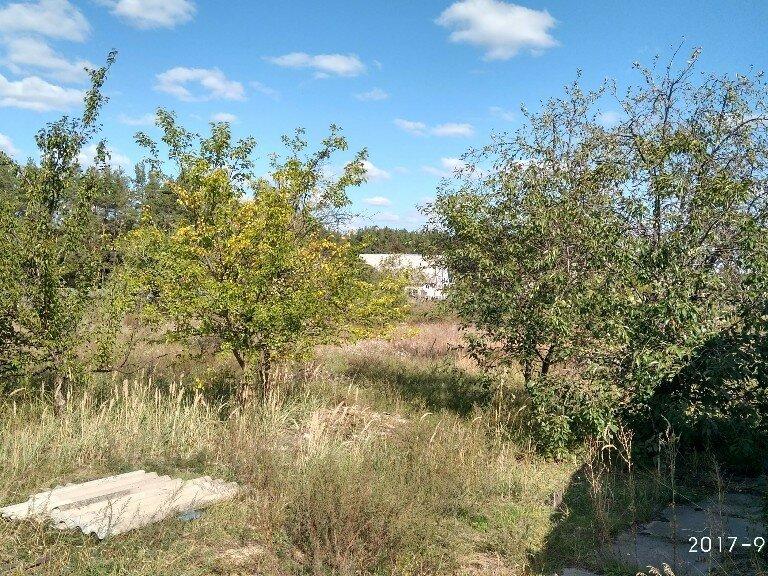 Продажа земельного участка под жилую застройку в селе Песковка