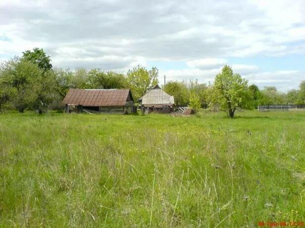 Продам земельный участок в селе Дмитровка (Вишгородский р-н)