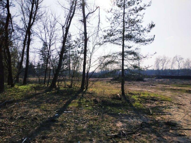 Участок Обуховка ( Кировское ) со своим выходом в сосновый лес