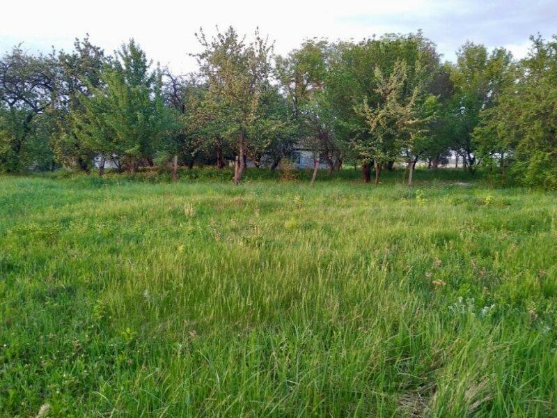 Земельный участок с домом с. Марьяновка, Киевская область