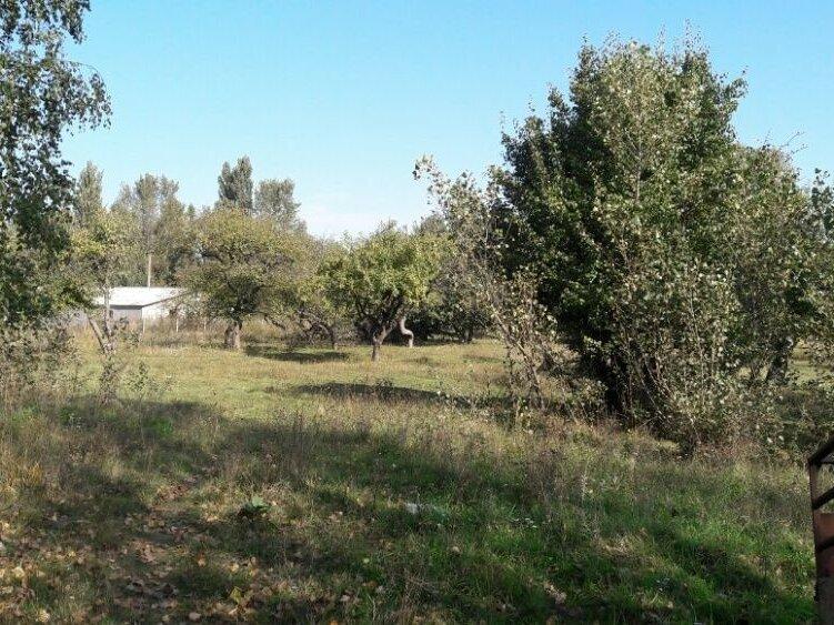 Продам земельну ділянку в с.Дубище Чуднівського району