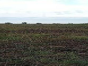 Продажа земельного участка под жилую застройку в селе Шелюги, Запорожской области, Речная, площадь 25 соток