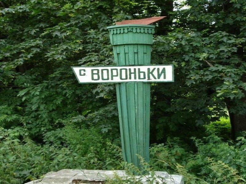 Земельный участок 0.39 Га село Вороньки Черниговской области