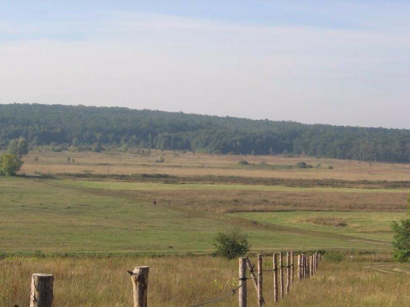 Продаж земельної ділянки (0,4136 га) Макарівський район, с.Лубське