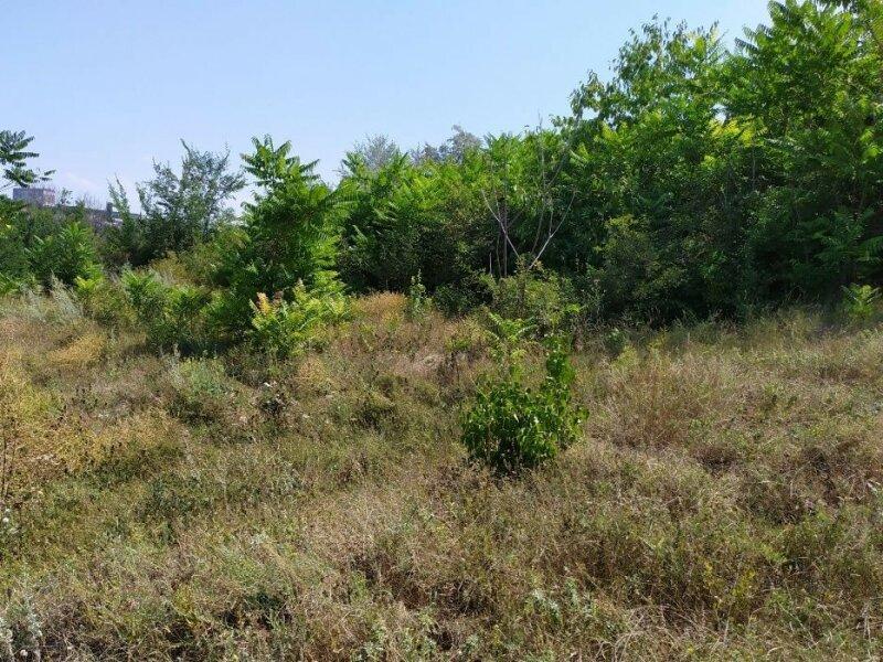 Продам участок земли в селе Нерубайское ,Беляевского района ,Одесской