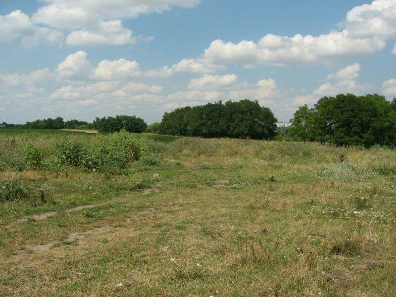 Продаю земельну ділянку в селі Шкарівка