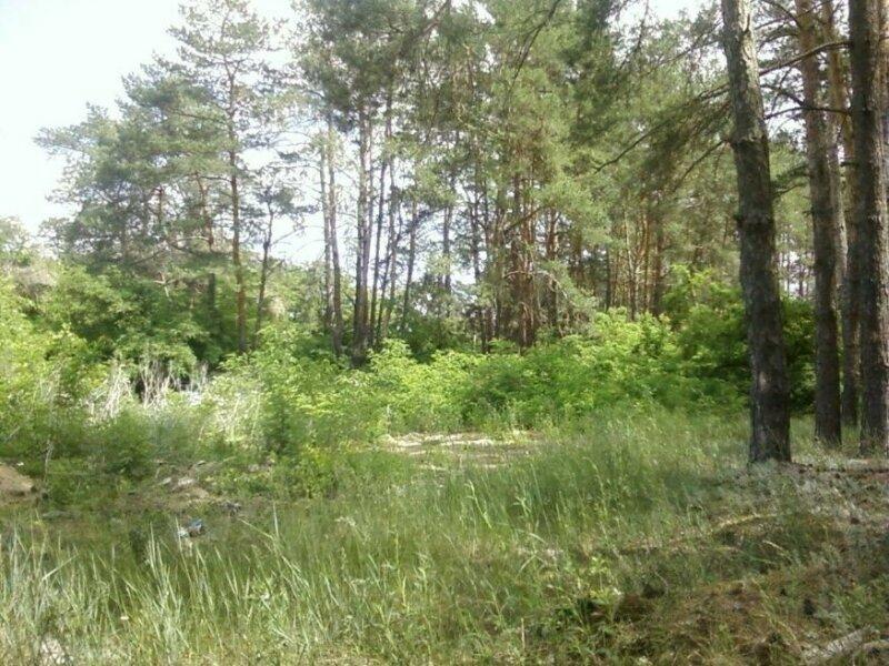 Продам рядом три участка по 10сот. в сосновом лесу 5 км от Харькова