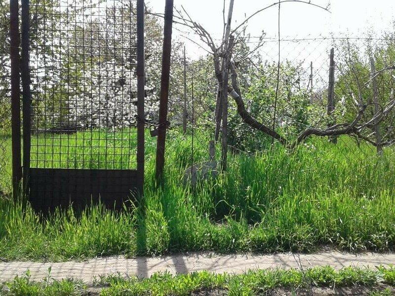 НЕ ДОРОГО Участок 6 сот кооп Тирас Беляевка вода, сад, 45км от Одессы