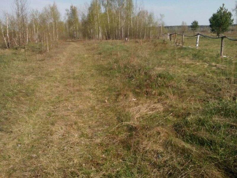 Продам земельный участок 25 сот. в с. Марьяновка (Колонщина)