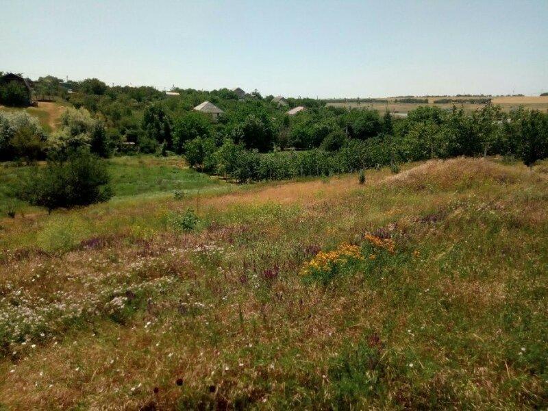 Продам двойной участок земли в дачном кооперативе Новая Дофиновка