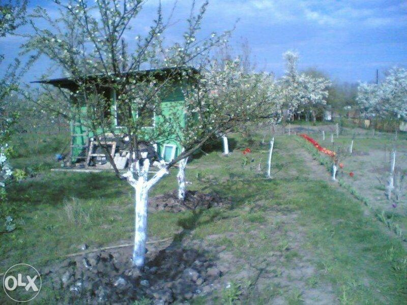 Продается садовый участок в СК «Станкостроитель»