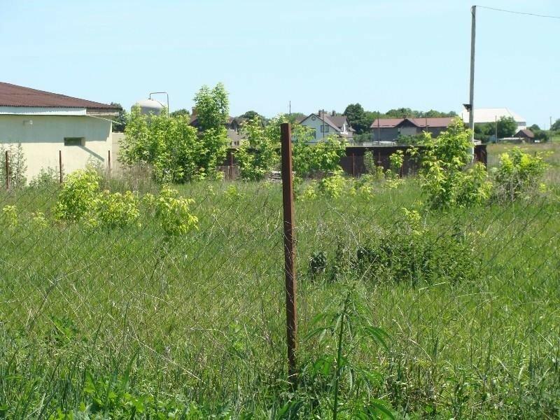 Продажа земельного участка под жилую застройку в селе Вороньков
