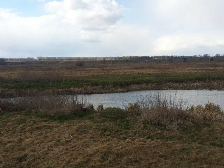 Продам земельный участок на берегу реки в селе Перевоз 35 км от Киева