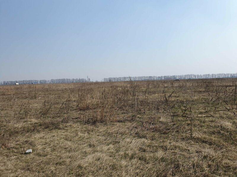 Продається земля в селі Красилівка (Броварський район)