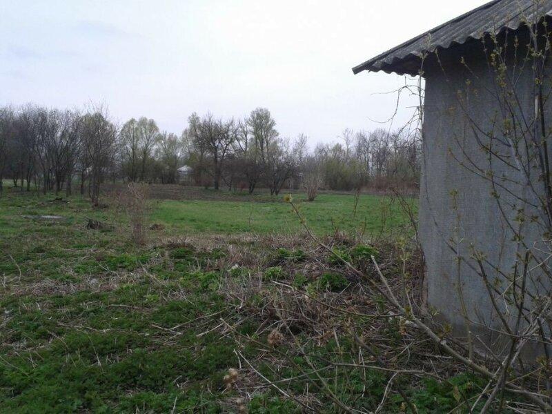 Продается приусадебный земельный участок с домом в селе Петровка.