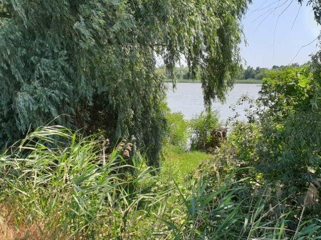 Продам землю на берегу Дуная под дачу или бизнес