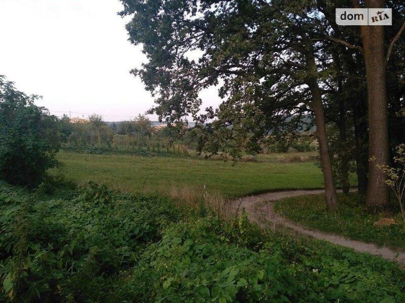 Продажа земельного участка под жилую застройку в селе Борки, Львовской области, с.Лісопотік, площадь 80 соток