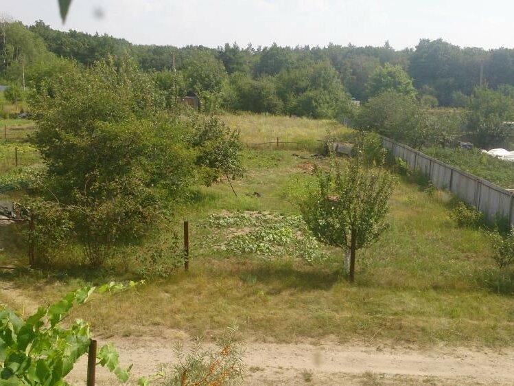 Дачный участок возле Петровки. 15 км от Полтавы. Речка рядом. Лес.