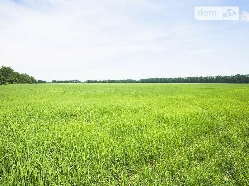 Продажа земельного участка сельскохозяйственного назначения в Каневе, площадь 1000 соток