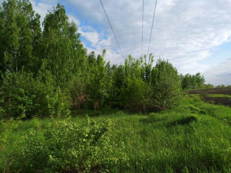Продам земельный ПАЙ-2.64 га..под Киевом-15 км