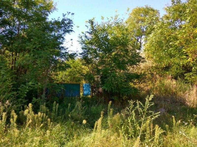 Продам землю в селе Демяновка